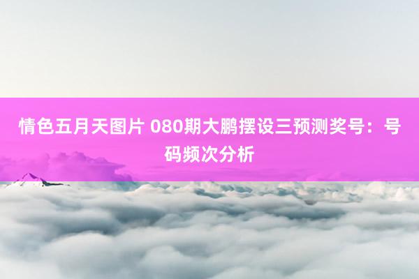 情色五月天图片 080期大鹏摆设三预测奖号：号码频次分析