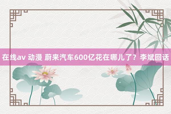 在线av 动漫 蔚来汽车600亿花在哪儿了?李斌回话