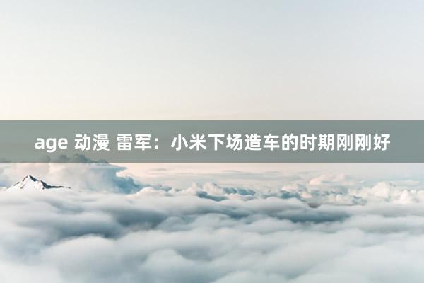 age 动漫 雷军：小米下场造车的时期刚刚好