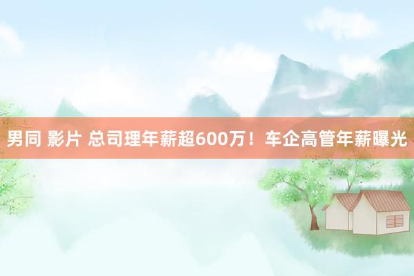 男同 影片 总司理年薪超600万！车企高管年薪曝光