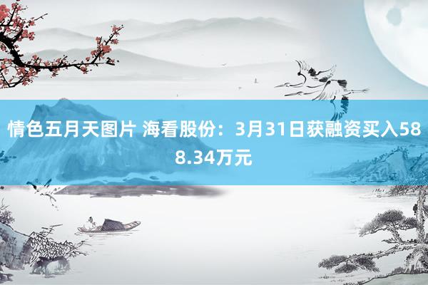 情色五月天图片 海看股份：3月31日获融资买入588.34万元