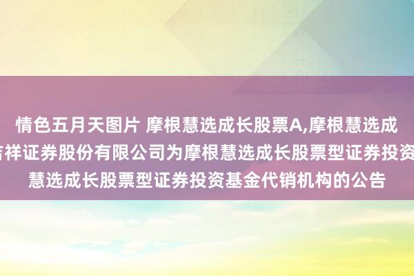 情色五月天图片 摩根慧选成长股票A,摩根慧选成长股票C: 对于新增吉祥证券股份有限公司为摩根慧选成长股票型证券投资基金代销机构的公告