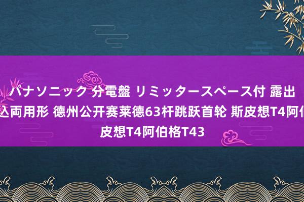 パナソニック 分電盤 リミッタースペース付 露出・半埋込両用形 德州公开赛莱德63杆跳跃首轮 斯皮想T4阿伯格T43