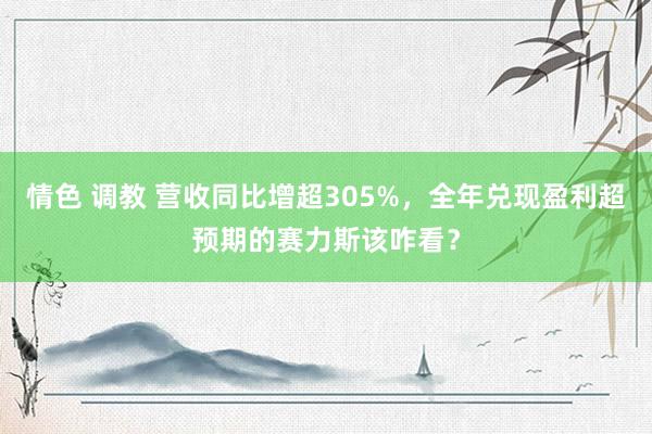 情色 调教 营收同比增超305%，全年兑现盈利超预期的赛力斯该咋看？