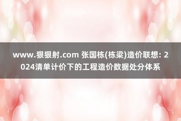 www.狠狠射.com 张国栋(栋梁)造价联想: 2024清单计价下的工程造价数据处分体系