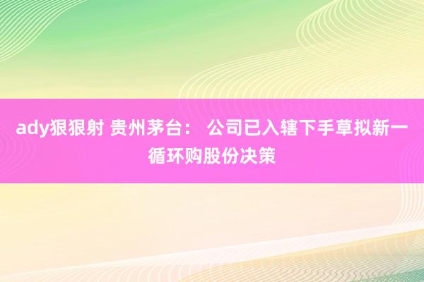 ady狠狠射 贵州茅台： 公司已入辖下手草拟新一循环购股份决策