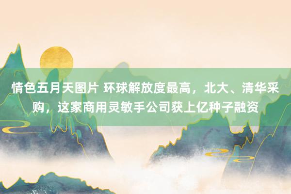 情色五月天图片 环球解放度最高，北大、清华采购，这家商用灵敏手公司获上亿种子融资
