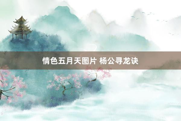 情色五月天图片 杨公寻龙诀