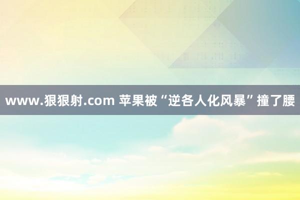 www.狠狠射.com 苹果被“逆各人化风暴”撞了腰
