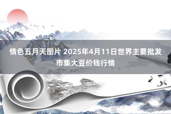 情色五月天图片 2025年4月11日世界主要批发市集大豆价钱行情