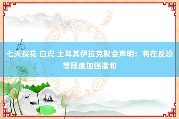 七天探花 白虎 土耳其伊拉克聚会声明：将在反恐等限度加强谐和