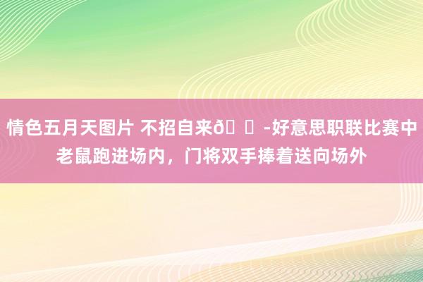情色五月天图片 不招自来🐭好意思职联比赛中老鼠跑进场内，门将双手捧着送向场外