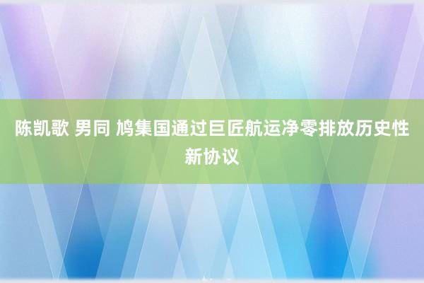 陈凯歌 男同 鸠集国通过巨匠航运净零排放历史性新协议