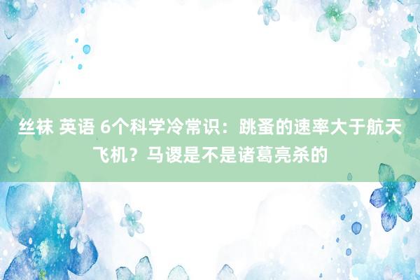 丝袜 英语 6个科学冷常识：跳蚤的速率大于航天飞机？马谡是不是诸葛亮杀的