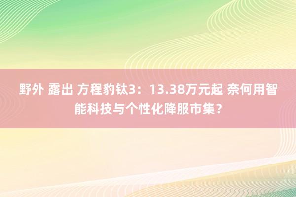 野外 露出 方程豹钛3：13.38万元起 奈何用智能科技与个性化降服市集？