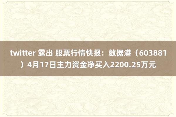 twitter 露出 股票行情快报：数据港（603881）4月17日主力资金净买入2200.25万元