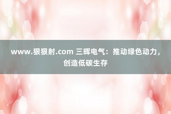 www.狠狠射.com 三晖电气：推动绿色动力，创造低碳生存