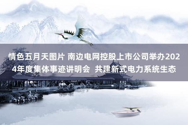 情色五月天图片 南边电网控股上市公司举办2024年度集体事迹讲明会  共建新式电力系统生态