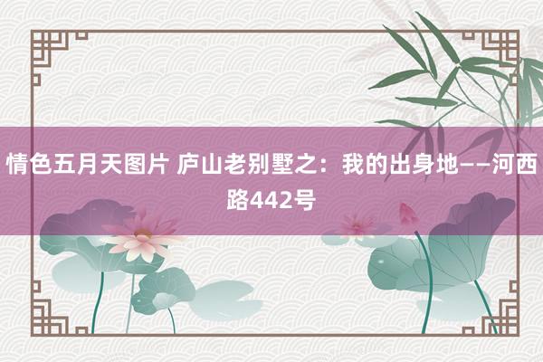 情色五月天图片 庐山老别墅之：我的出身地——河西路442号