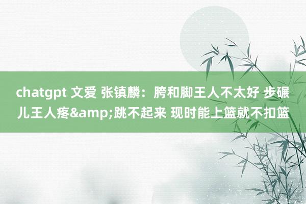 chatgpt 文爱 张镇麟：胯和脚王人不太好 步碾儿王人疼&跳不起来 现时能上篮就不扣篮