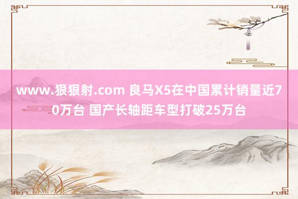 www.狠狠射.com 良马X5在中国累计销量近70万台 国产长轴距车型打破25万台