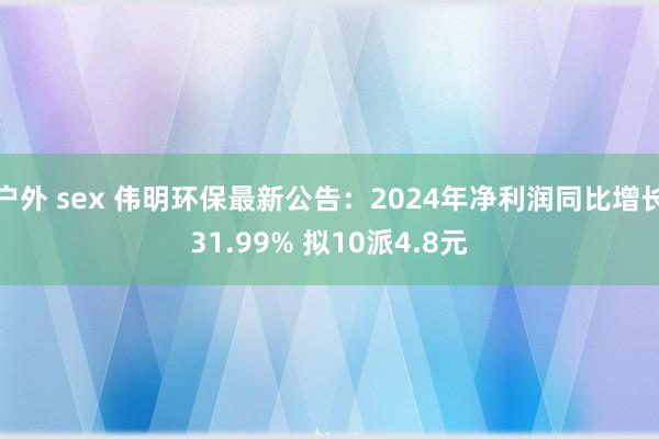 户外 sex 伟明环保最新公告：2024年净利润同比增长31.99% 拟10派4.8元
