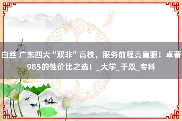 白丝 广东四大“双非”高校，服务前程亮盲眼！卓著985的性价比之选！_大学_于双_专科