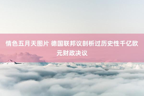 情色五月天图片 德国联邦议剖析过历史性千亿欧元财政决议
