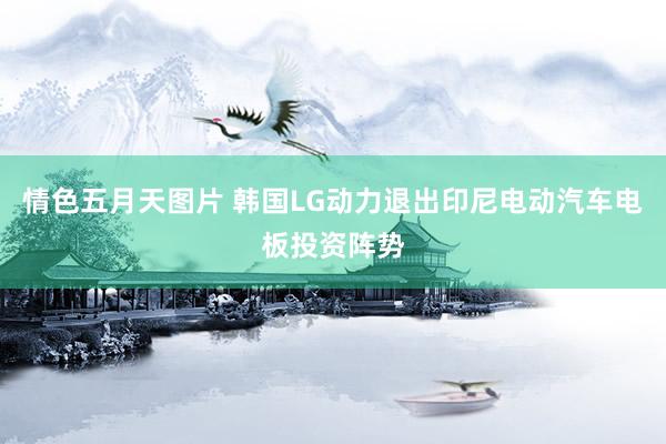 情色五月天图片 韩国LG动力退出印尼电动汽车电板投资阵势