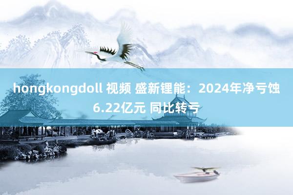 hongkongdoll 视频 盛新锂能：2024年净亏蚀6.22亿元 同比转亏