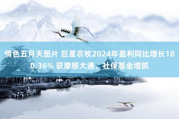 情色五月天图片 巨星农牧2024年盈利同比增长180.36% 获摩根大通、社保基金增抓