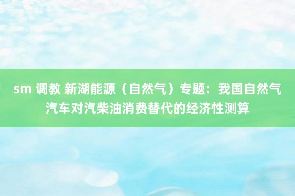 sm 调教 新湖能源（自然气）专题：我国自然气汽车对汽柴油消费替代的经济性测算