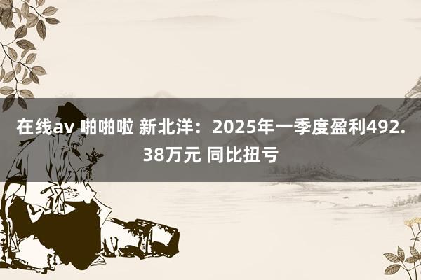 在线av 啪啪啦 新北洋：2025年一季度盈利492.38万元 同比扭亏