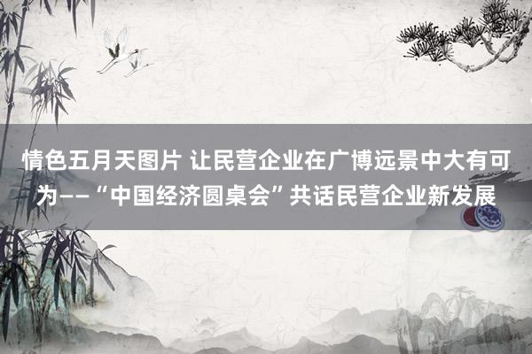 情色五月天图片 让民营企业在广博远景中大有可为——“中国经济圆桌会”共话民营企业新发展