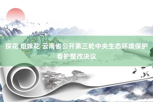 探花 姐妹花 云南省公开第三轮中央生态环境保护看护整改决议