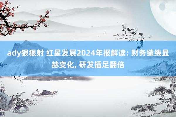ady狠狠射 红星发展2024年报解读: 财务缱绻显赫变化， 研发插足翻倍