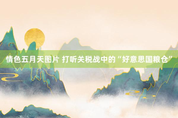 情色五月天图片 打听关税战中的“好意思国粮仓”