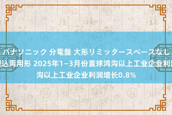 パナソニック 分電盤 大形リミッタースペースなし 露出・半埋込両用形 2025年1—3月份寰球鸿沟以上工业企业利润增长0.8%