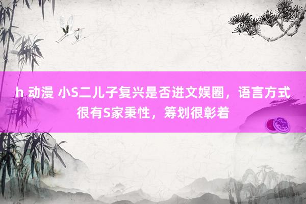 h 动漫 小S二儿子复兴是否进文娱圈，语言方式很有S家秉性，筹划很彰着