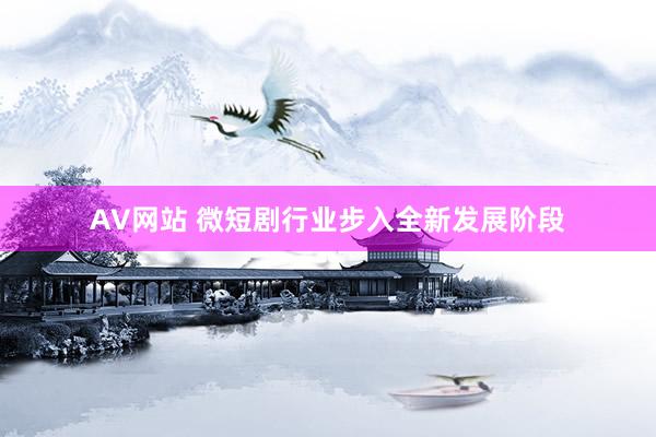 AV网站 微短剧行业步入全新发展阶段